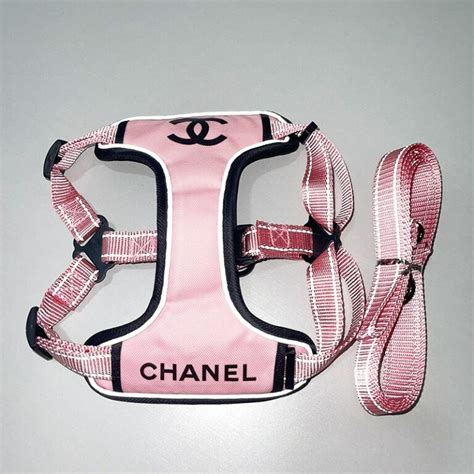 chanel inspired dog clothes|Chanel small dog carrier.